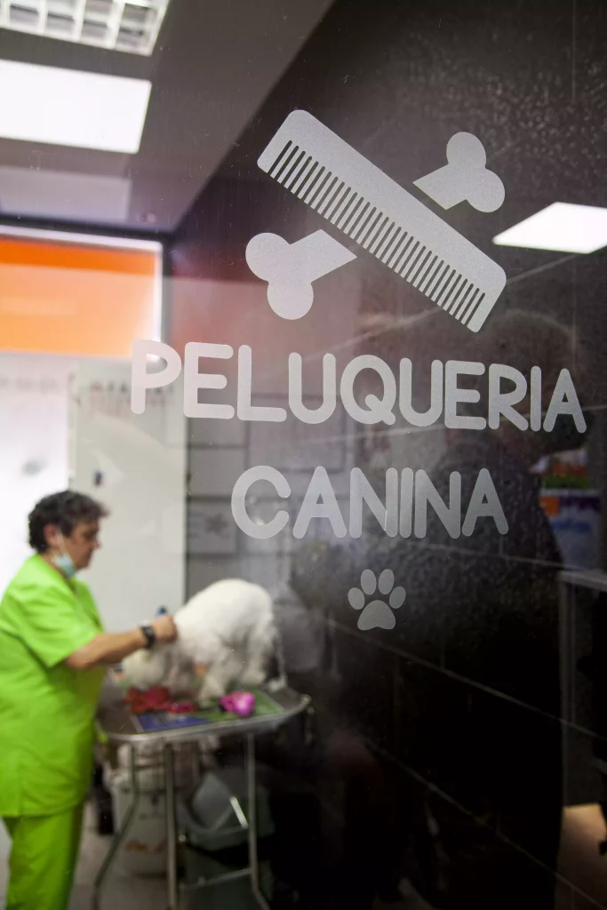 Clinica veterinaria quintana Peluquería canina y felina